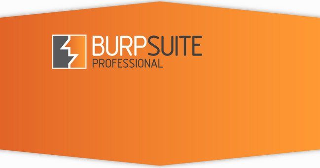burp-suite-professional-crack-9473145