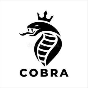 Cobra Driver crack